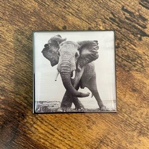 Chantecaille Luminescent Eye Shade - Elephant